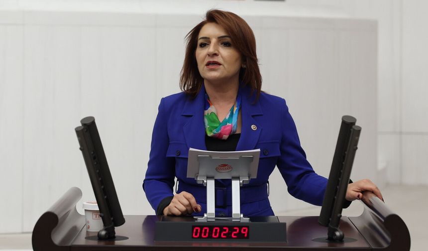 CHP'li Gülcan Kış: İŞSİZLİK DÜŞMÜYOR, GENÇLER İŞ ARAMAKTAN VAZGEÇİYOR!