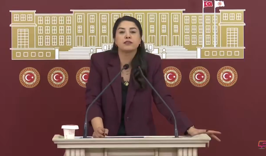 DEM Partili Dilan Kunt Ayan’dan Hızlı Tren Tepkisi: “Urfa’nın Suçu Ne?”