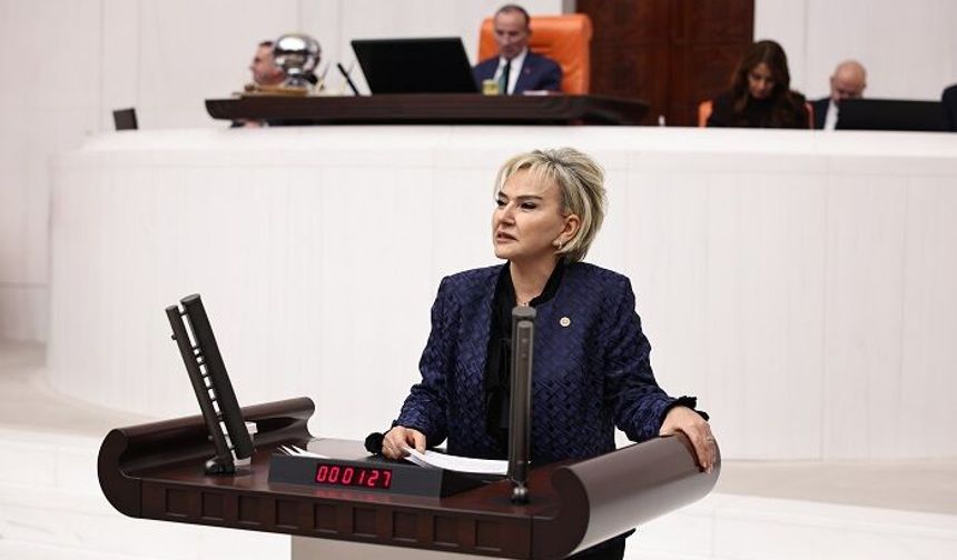 Türkiye Büyük Millet Meclisi’nde Kadın Cinayetleri Araştırma Önergesine Ret