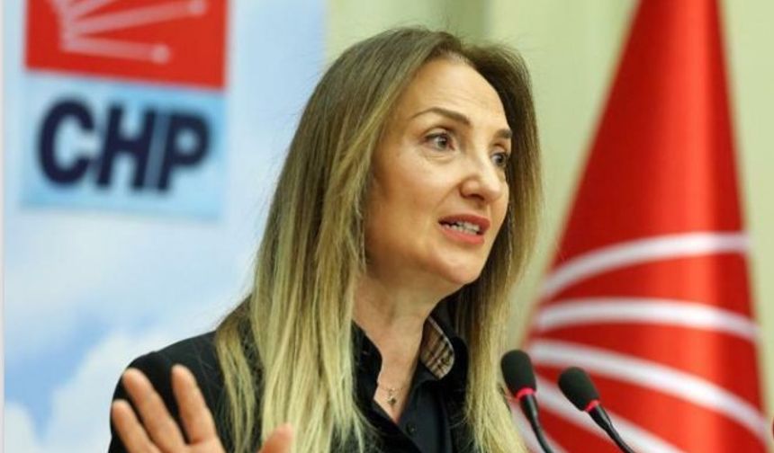 Aylin Nazlıaka’dan Mesut Özarslan’ın İstifasına Tepki: “CHP İlkesizce Saf Değiştirenlerin Partisi Değildir”