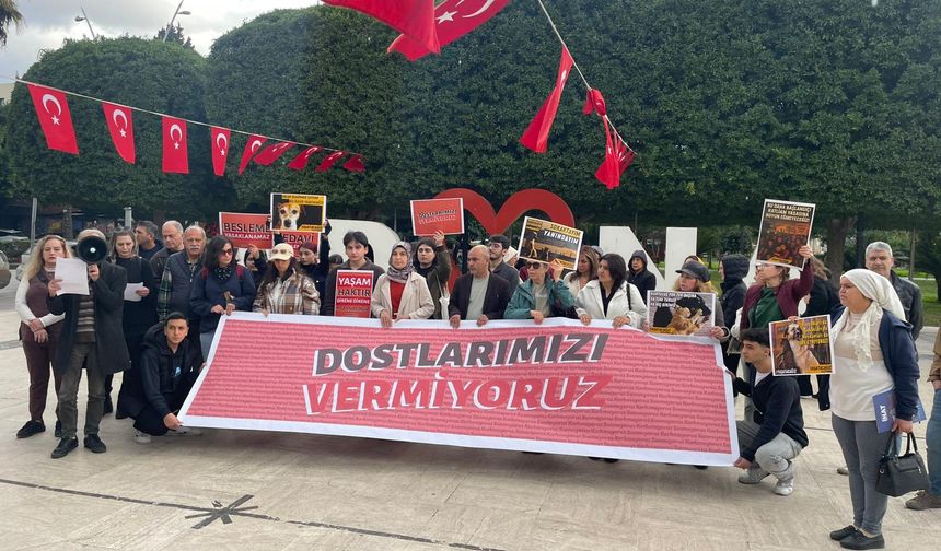 Adana’da Hayvanseverlerden “Ölüm Politikalarına” Tepki: “Dostlarımızı Vermiyoruz, Barınak Değil Yaşam”
