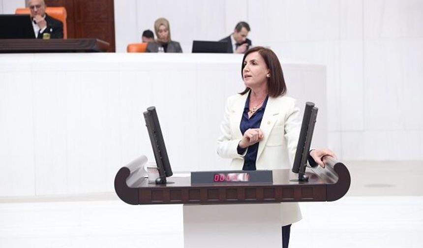 Aliye Coşar: “Milli Parklar Rant Kapısı Değil, Doğal Mirastır”