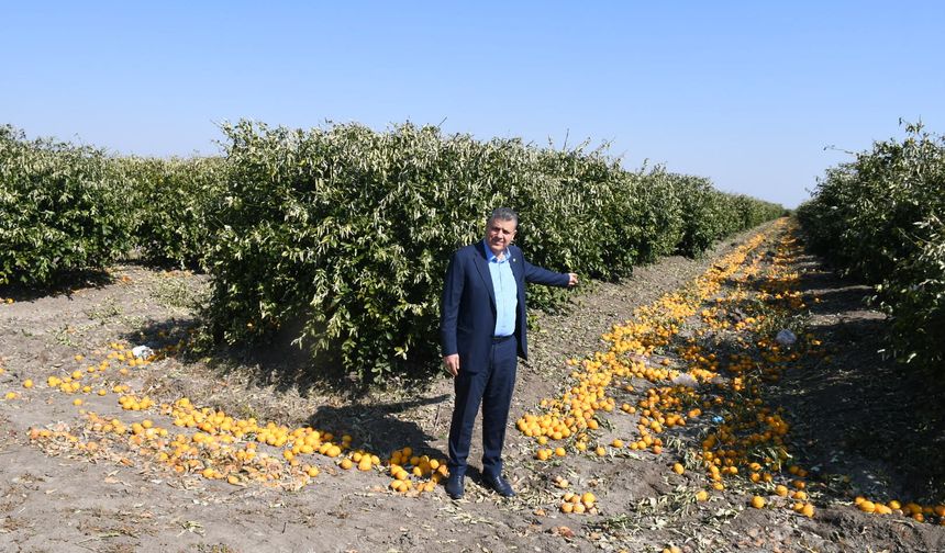 Ayhan Barut; "Limonda ithalat kararı geri alınsın"