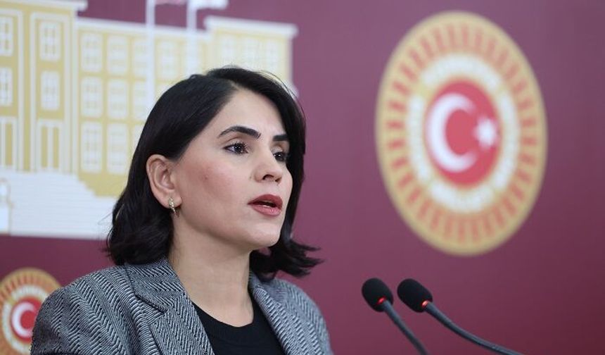 Nevroz Uysal Aslan: “Uludere’de Su Alarmı, Mijîn Kaynağı Kururken Halk Susuz Bırakılıyor”