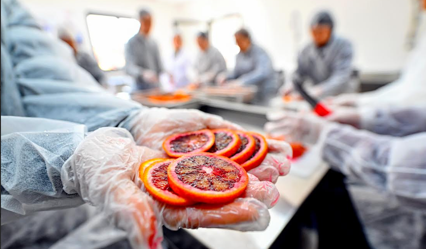 MERSİN BÜYÜKŞEHİR COĞRAFİ İŞARETLİ KAN PORTAKALI’NI KADIN EMEĞİ İLE GELECEĞE TAŞIYOR