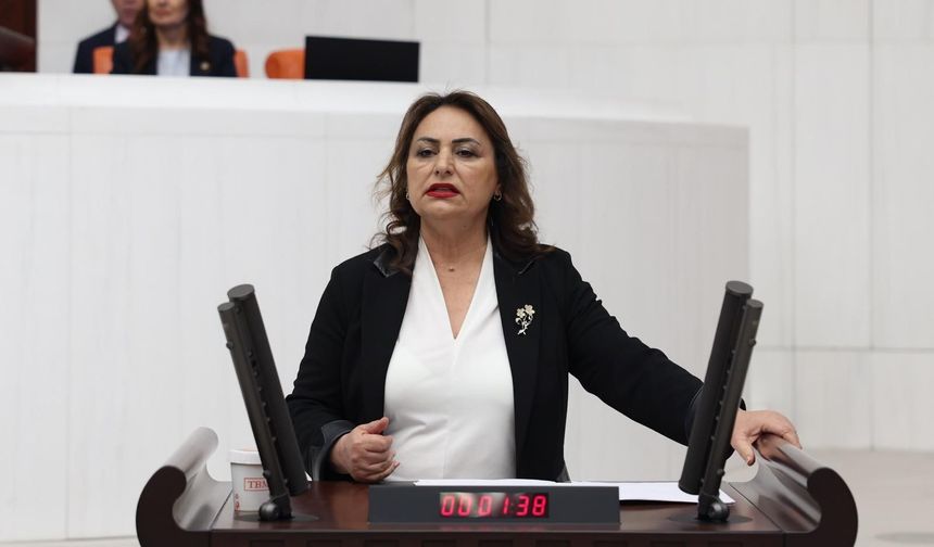 CHP’li Dr. Müzeyyen Şevkin’den “0850 Terörü” İçin Meclis’e Araştırma Çağrısı