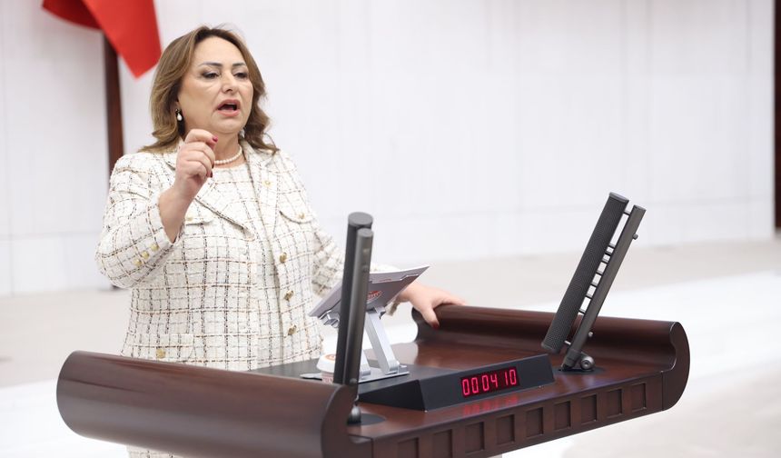 CHP’li Müzeyyen Şevkin’den paylı mülkiyet sorunu için Meclis araştırması çağrısı