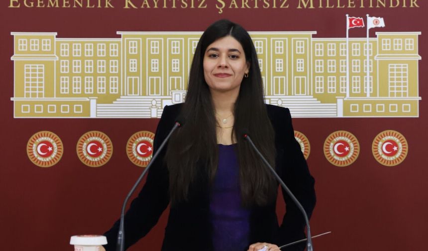 DEM Partili Güneş: “Mardin’de ekolojik kırım yaşanıyor”
