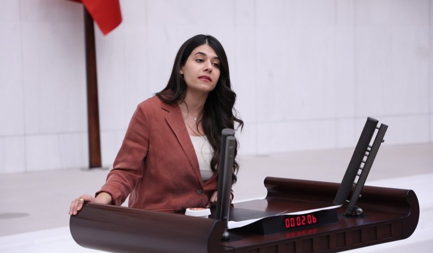 Beritan Güneş: "Beyazsu yok olma riskiyle karşı karşıya”