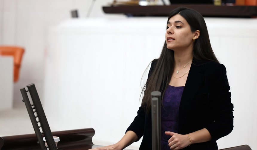 Beritan Güneş’ten DEDAŞ iddiası: “Nusaybin’de 400 haneye 12 milyon TL ceza kesildi”