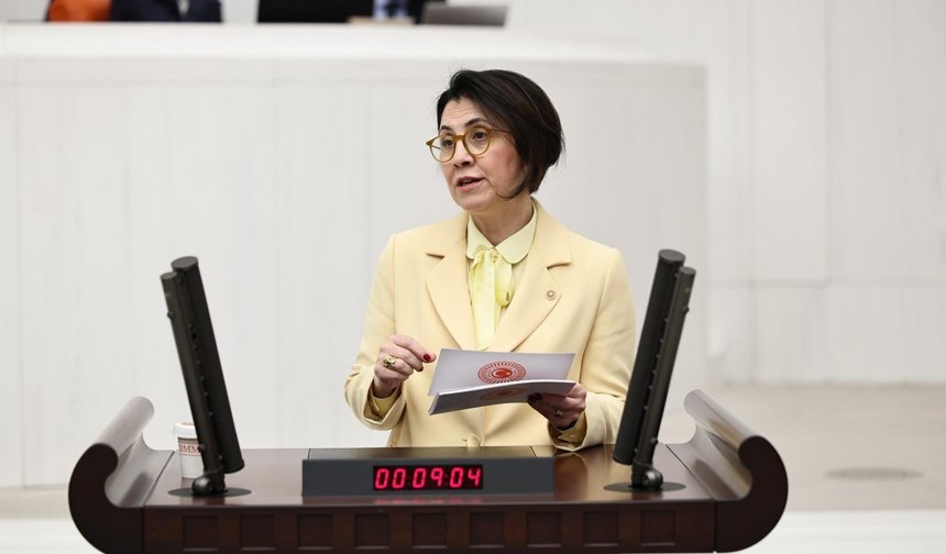 CHP’li Aylin Yaman: Doğum İzni Artışı Olumlu, Ek Düzenleme Şart