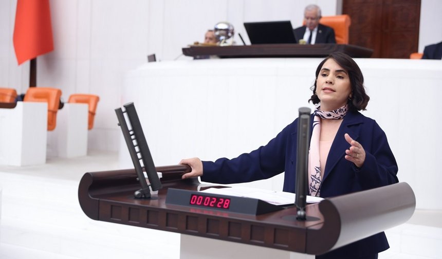 Nevroz uysal Aslan, “Çocukların güvenliği mahkûmiyet sonrasına bırakılamaz”