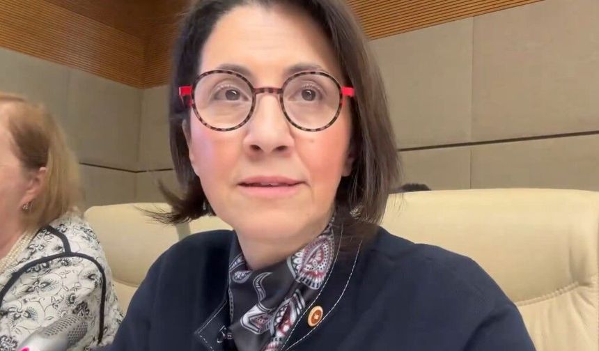CHP’li Dr. Aylin Yaman, Sağlık Komisyonu’nda Tıp Fakülteleri ve Hekim Mağduriyetlerini Gündeme Taşıdı