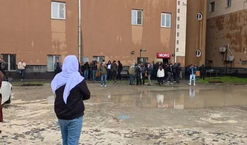 Beritan Güneş ve DEM Parti: “Yıldırım faciası ihmalin sonucu olabilir”