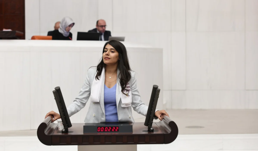 Beritan Güneş, Okullara uzman çavuş değil psikolog, sosyal hizmet uzmanı, rehber öğretmen görevlendirilmeli