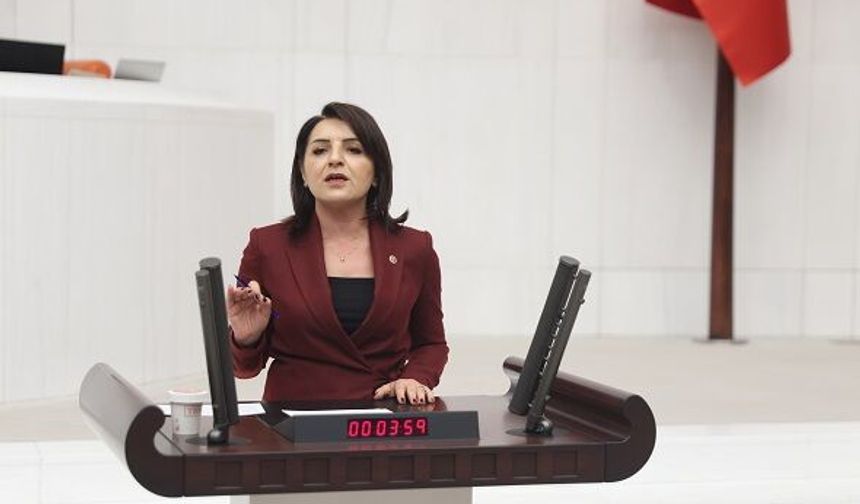 CHP Mersin Milletvekili Gülcan Kış,​​​​​​​ “VERGİ VATANDAŞA, MUAFİYET LÜKSE!”