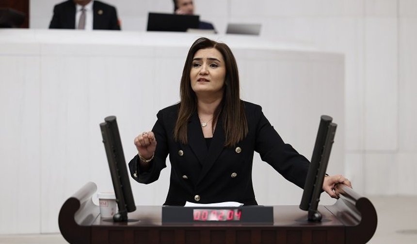 CHP'li Sevda Erdan Kılıç, TÜRKİYE SUÇ ÖRGÜTLERİ İÇİN GÜVENLİ LİMAN HALİNE Mİ GELİYOR