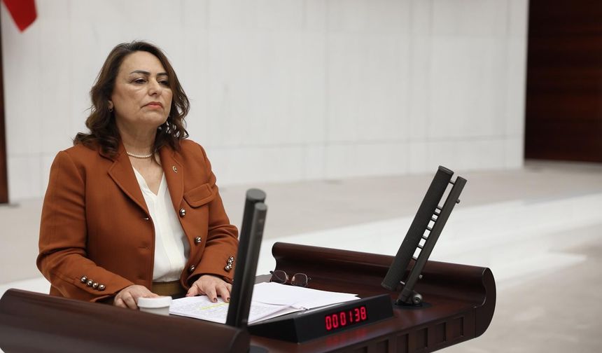 CHP’li Şevkin “Adana’nın denize açılan kapıları neden atıl bırakılıyor?”