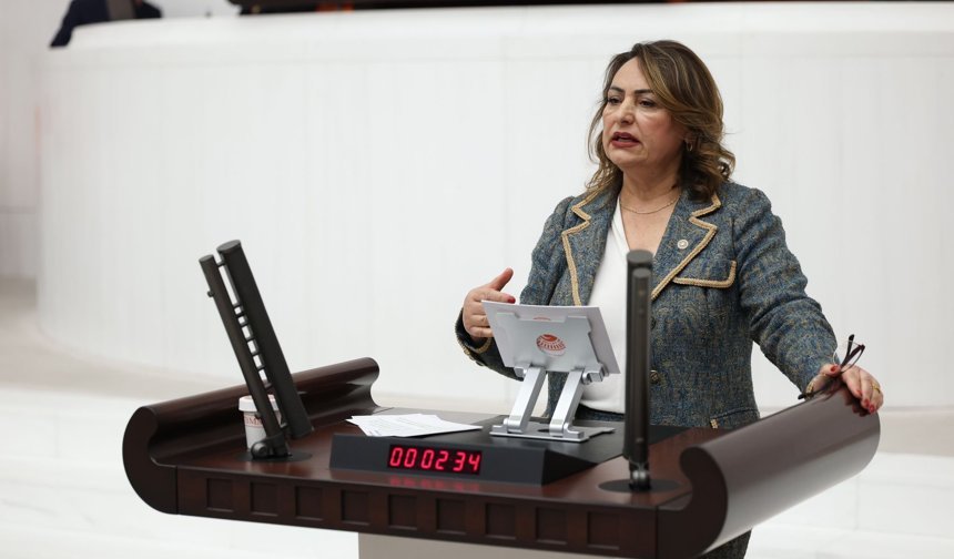 Müzeyyen Şevkin; “Adana’nın kalkınması gecikiyor, merkezi idare sorumluluk almalıdır”