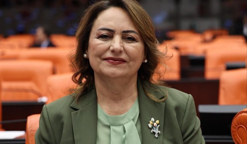 CHP’li Şevkin TBMM’de tek tek saydı: “Adana’nın sorunları daha fazla bekleyemez”