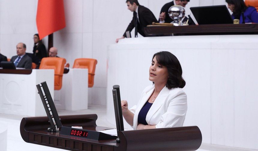 DEM Parti Şırnak Milletvekili Nevroz Uysal Aslan, Cizre-Silopi-Habur Yolundaki Gecikmeyi TBMM’ye Taşıdı