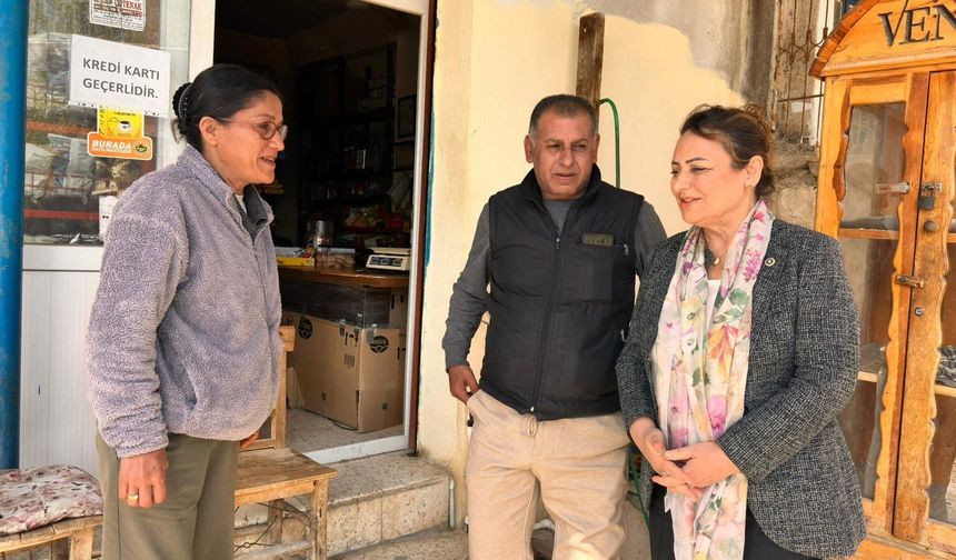 CHP’li Dr. Müzeyyen Şevkin, Kızıldere Köyü Bakkal Esnafının Vergi Mağduriyetini TBMM’ye Taşıdı