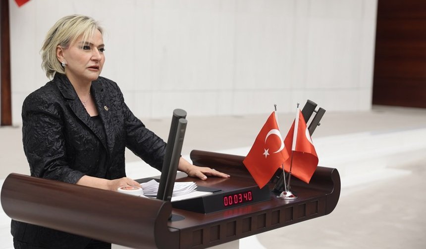 CHP’li Nimet Özdemir’den TBMM’de sert çıkış: “Türkiye şiddet sarmalına sürükleniyor”