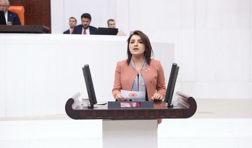 CHP’li Gülcan Kış: “Bu Bayramda Dayanışmayı Büyütmek Zorundayız”