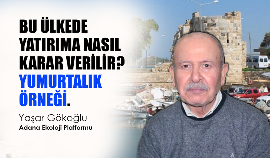 BU ÜLKEDE YATIRIMA NASIL KARAR VERİLİR? YUMURTALIK ÖRNEĞİ.