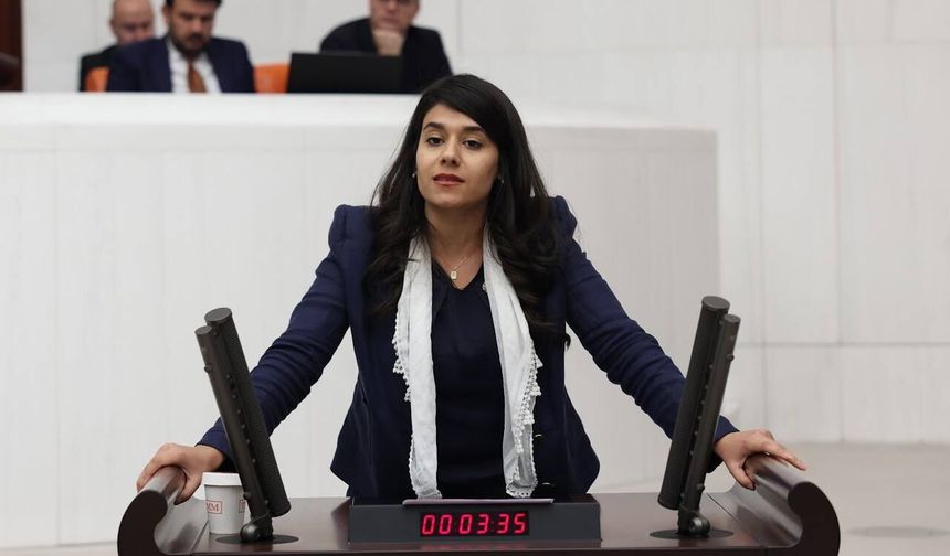 Beritan Güneş Altın’dan “Kayıplar Komisyonu” Çağrısı