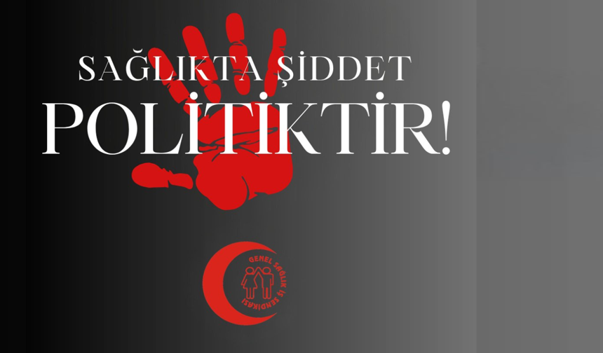 Genel Sağlık-İş, Hakkari’de Psikolog Arkadaşımıza Gerçekleştirilen Saldırının Sorumluları Derhal İstifa Etmelidir