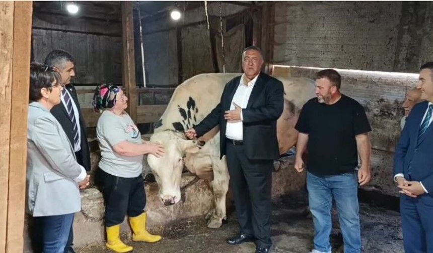 Ömer Fethi Gürer: “Kadın emeği desteklenmeden hayvancılık sürdürülemez”