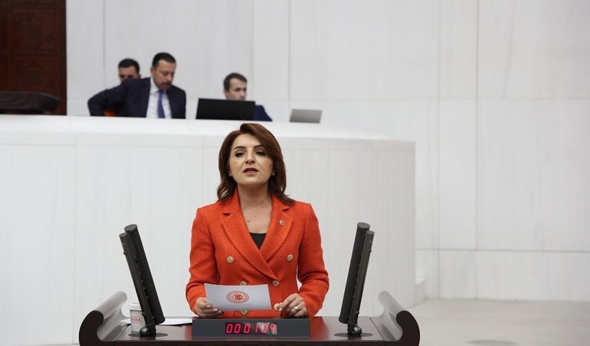CHP’li Kış “AKP 8 Kez Varlık Barışı Çıkardı, 9’uncusu Yolda: Demek ki Hâlâ Barışamadıkları Varlıklar Var”