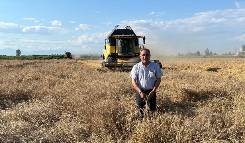 Çukurova’da Hasat Öncesi Tedirgin Bekleyiş: “Buğdayda Belirsizlik Bitsin”