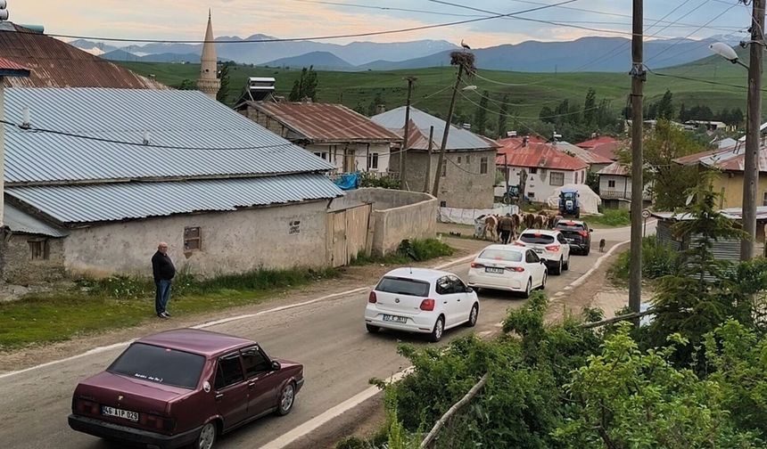 KÖYÜN ORTASINDAN GEÇEN KARAYOLU TRAFİĞİ TEHLİKE SAÇIYOR