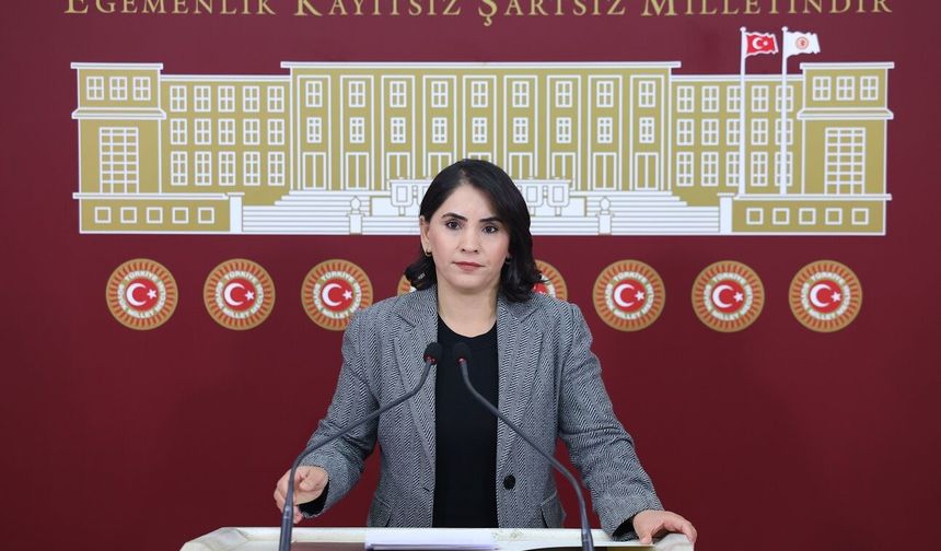 Nevroz Uysal Aslan: “Ahmet Tüneli’nin Özgürlüğünün Gaspı Faşizan İnfaz Rejiminin Son Örneğidir”