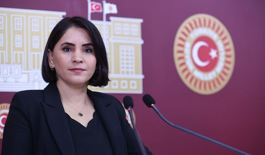 DEM Partili ASLAN Cizre–Silopi Yolu Tepkisi: "21 Yıldır Yol Bitmedi, Tarihler Değişti, Asfalt Çöktü"