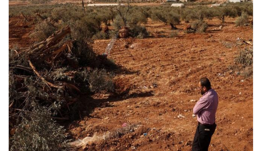 Uluslararası Af Örgütü: İsrail Batı Şeria’da etnik temizliği hızlandırıyor