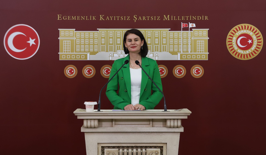 Gülcan Kaçmaz Sayyiğit: “Özgürlük ve demokrasi konuşulurken KHK mağduriyeti unutulamaz”