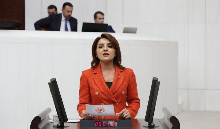 CHP'li Gülcan Kış: “Öğretmenler açlık grevinde, Bakanlık hâlâ sessiz”