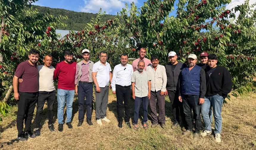 CHP'li Vekil Başevirgen'e Kiraz Üreticilerinden İsyan: "Ekmek Yemek İçin Üretmek Zorundayız"