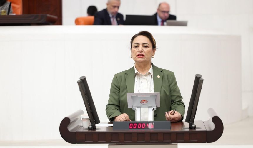 CHP’li Müzeyyen Şevkin TBMM’de Polislerin Sorunlarını Gündeme Taşıdı