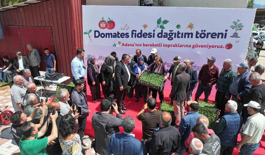 Aladağ’da 400 bin, Tufanbeyli ve Feke’de 100’er bin domates fidesi üreticiyle buluşturuldu