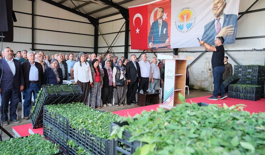 Aladağ üreticisine 400 bin domates fidesi… Kozan Girişimci Kadınlar Tarımsal Kalkınma Kooperatifi kuruldu