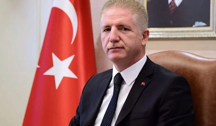 Vali Gül: “İstanbul’daki Sahipsiz Hayvanların Yüzde 65’i Toplandı”