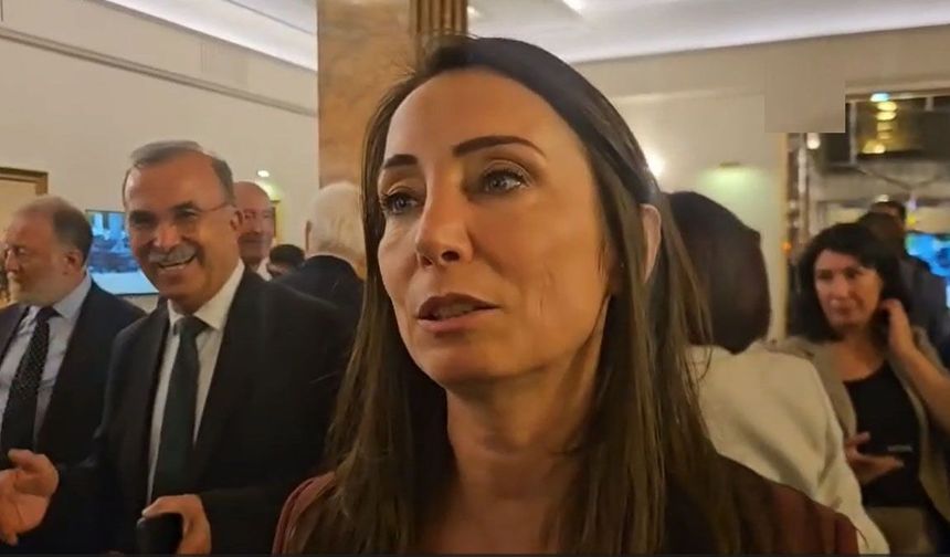 DEM Parti'den Çerçeve Yasa Sonrası MGK Çağrısı: "Süreç Gecikmemeli"