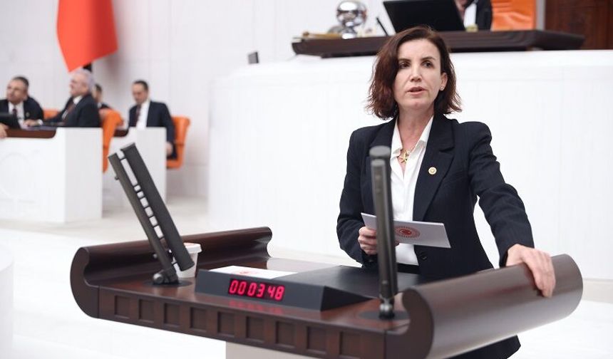 Aliye Coşar: "İktidar çocukları suçtan koruyacak politika üretmek yerine cezaları artırıyor"