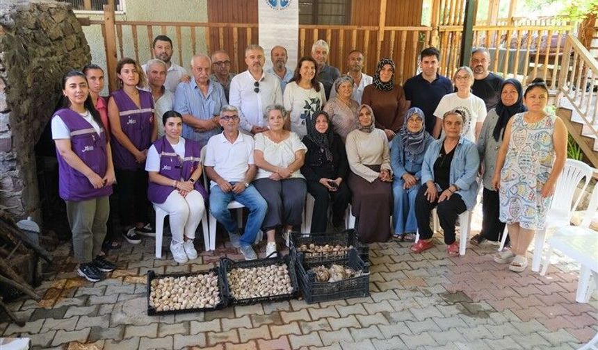 Kadın güçlenirse toplum güçlenir. Beyaz Zambak Projesinde hasat dönemi...