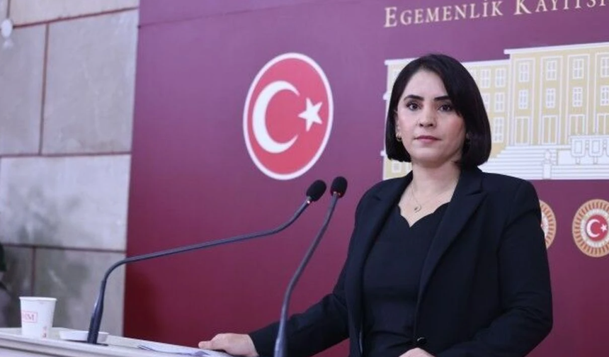 Nevroz Uysal Aslan: "Şax ve Hebler'de halkın toprağı güvenlik politikalarına kurban ediliyor"