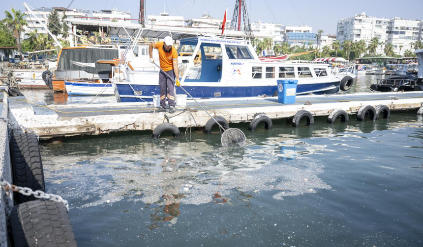 Çukurova Öğretim Elemanları Derneği: Çukurova ve Akdeniz “atık sömürgeciliği” tehdidi altında